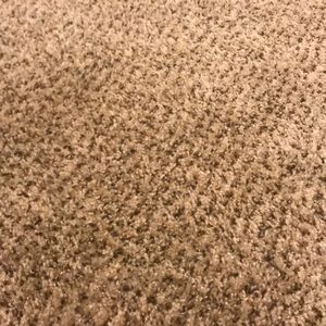 Meet your Posher, Daisy